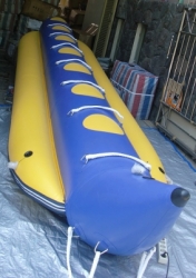 large CIMG1775